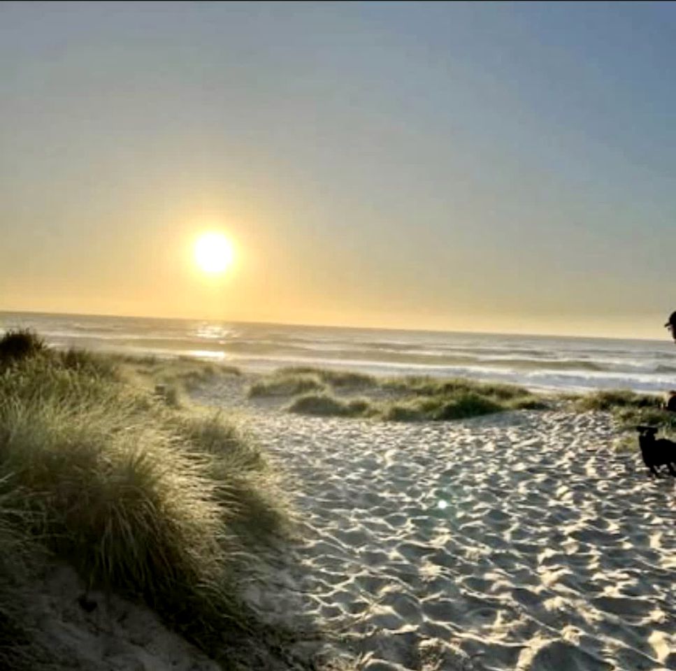 Tranquil Tiny House Cabin with Firepit and Outdoor Living Space in New South Wales, Australia