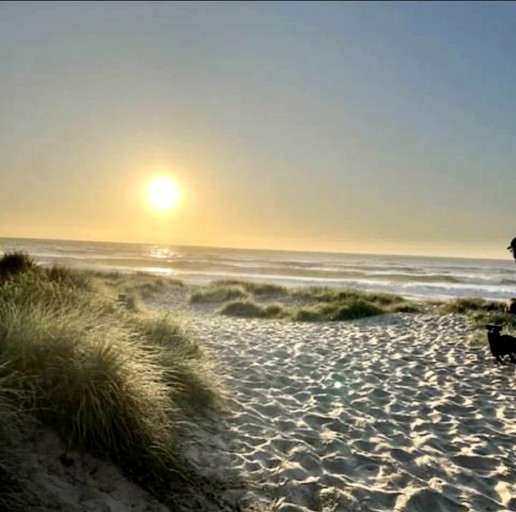Tiny Houses (Australia, Verges Creek, New South Wales)