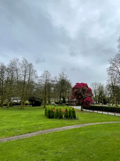 Cabins (United Kingdom, Helstone, England)