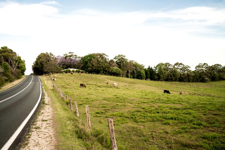 Tiny Houses (Australia, Coorabell, New South Wales)