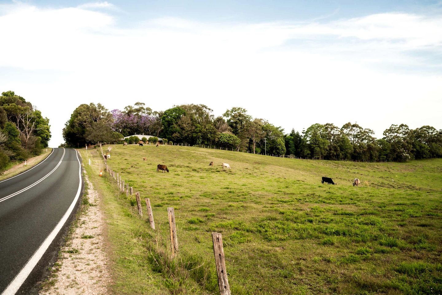 Charming Tiny House with Gorgeous Forest Vistas in Coorabell, New South Wales