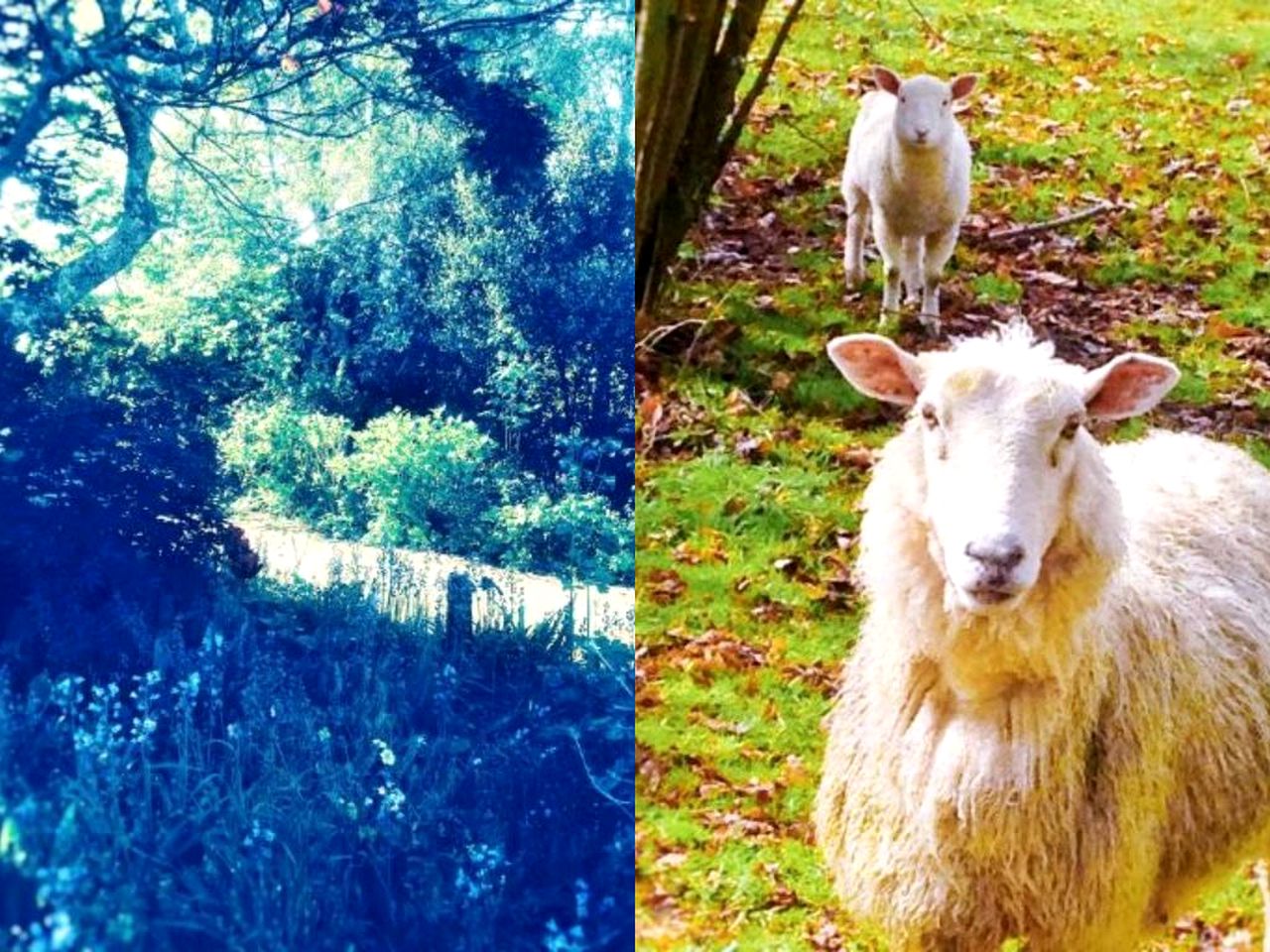 Spacious Romantic Accommodation with Free Wi-Fi in Atiamuri, North Island