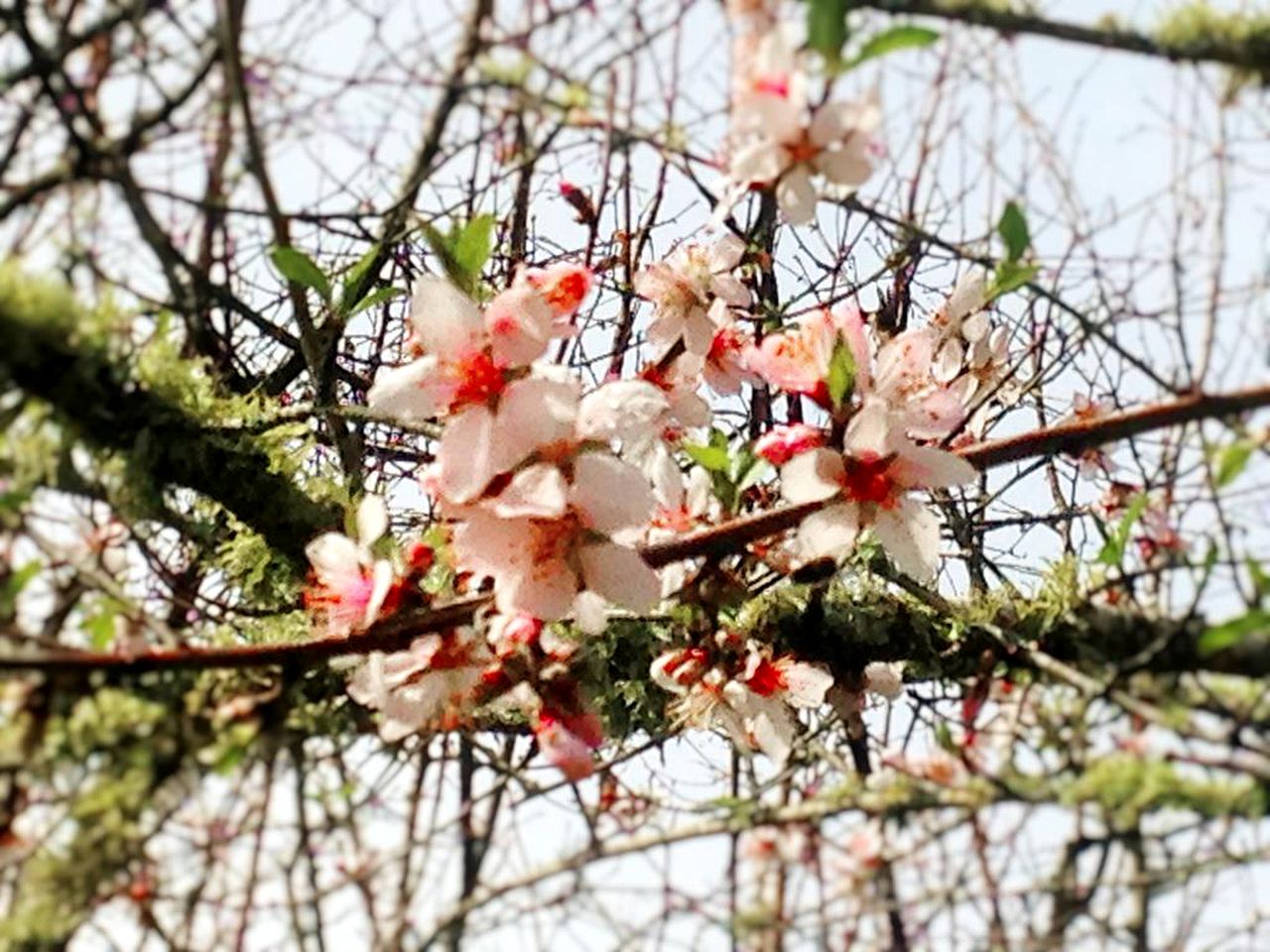 Spacious Romantic Accommodation with Free Wi-Fi in Atiamuri, North Island