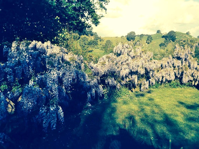 Nature Lodges (Atiamuri, North Island, New Zealand)