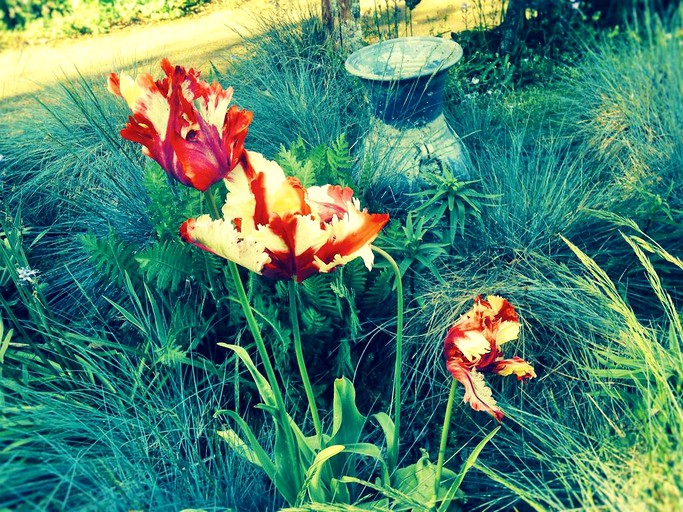 Nature Lodges (Atiamuri, North Island, New Zealand)