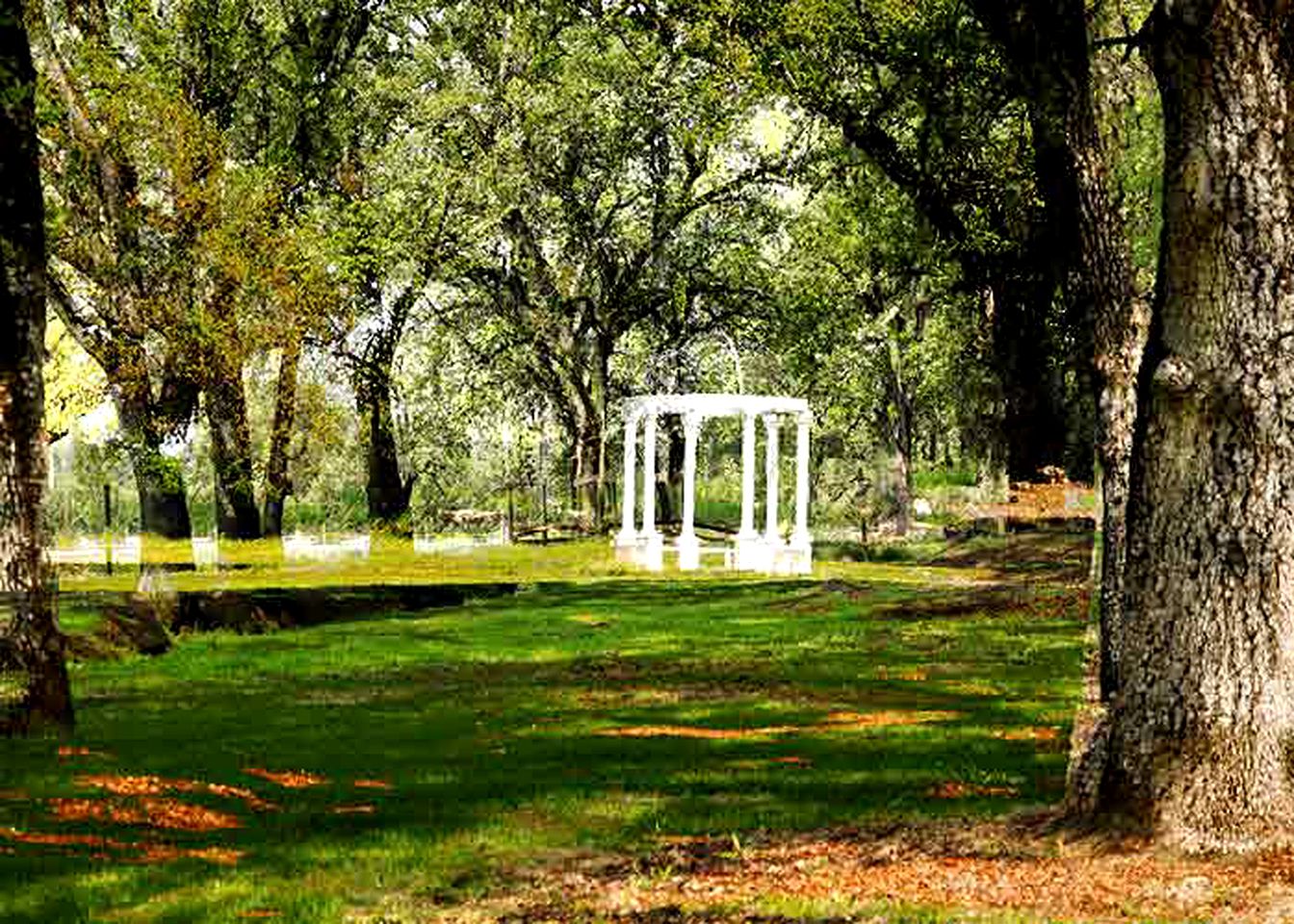 Spacious and Secluded Vacation Rental on a Picturesque Vineyard in Gold Country, California