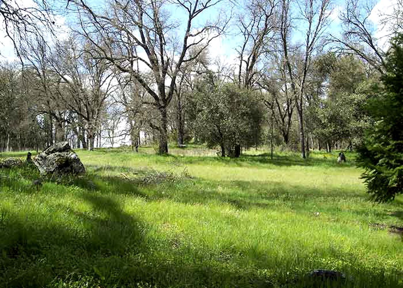 Spacious and Secluded Vacation Rental on a Picturesque Vineyard in Gold Country, California