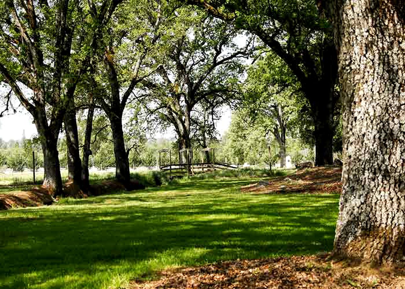 Spacious and Secluded Vacation Rental on a Picturesque Vineyard in Gold Country, California