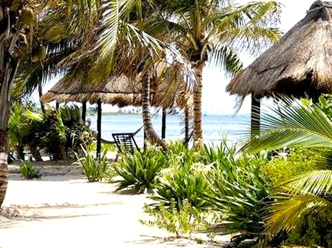 Round Beach Huts for Glamping on the Beach in Quintana Roo, Mexico