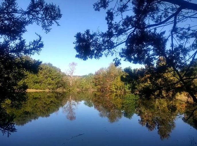 Caravans (Leander, Texas, United States)