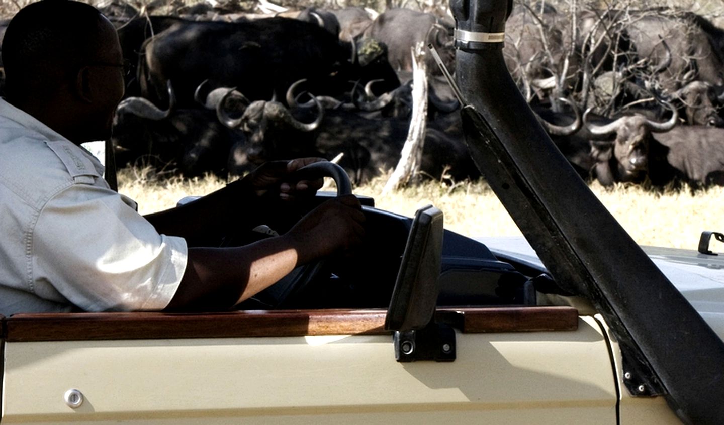 Rounded Tents in the Heart of the Moremi Game Reserve, Botswana