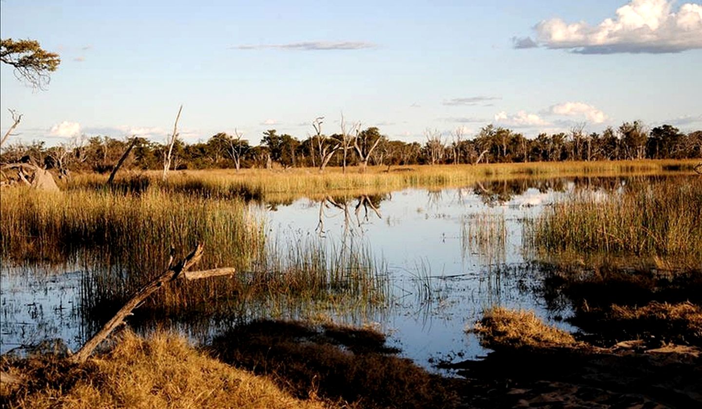 Rounded Tents in the Heart of the Moremi Game Reserve, Botswana