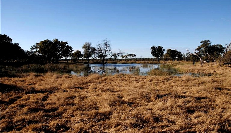 Huts (Maun, Ngamiland District, Botswana)