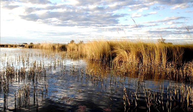 Huts (Maun, Ngamiland District, Botswana)