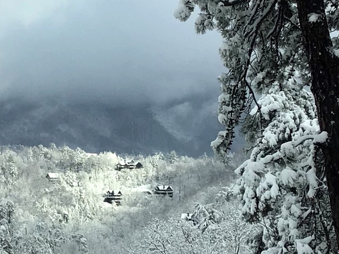 Cabins (United States of America, Sevierville, Tennessee)