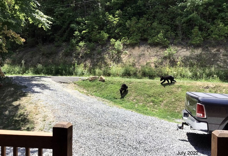 Cabins (United States of America, Sevierville, Tennessee)