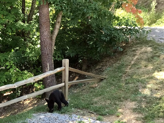 Cabins (United States of America, Sevierville, Tennessee)