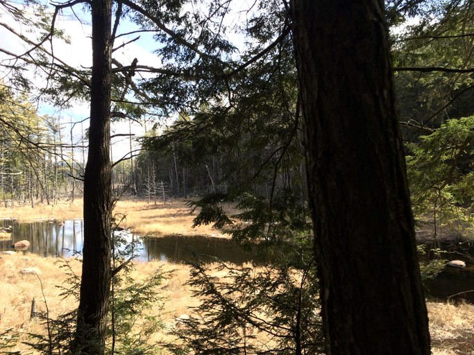 Cabins (Schroon Lake, New York, United States)