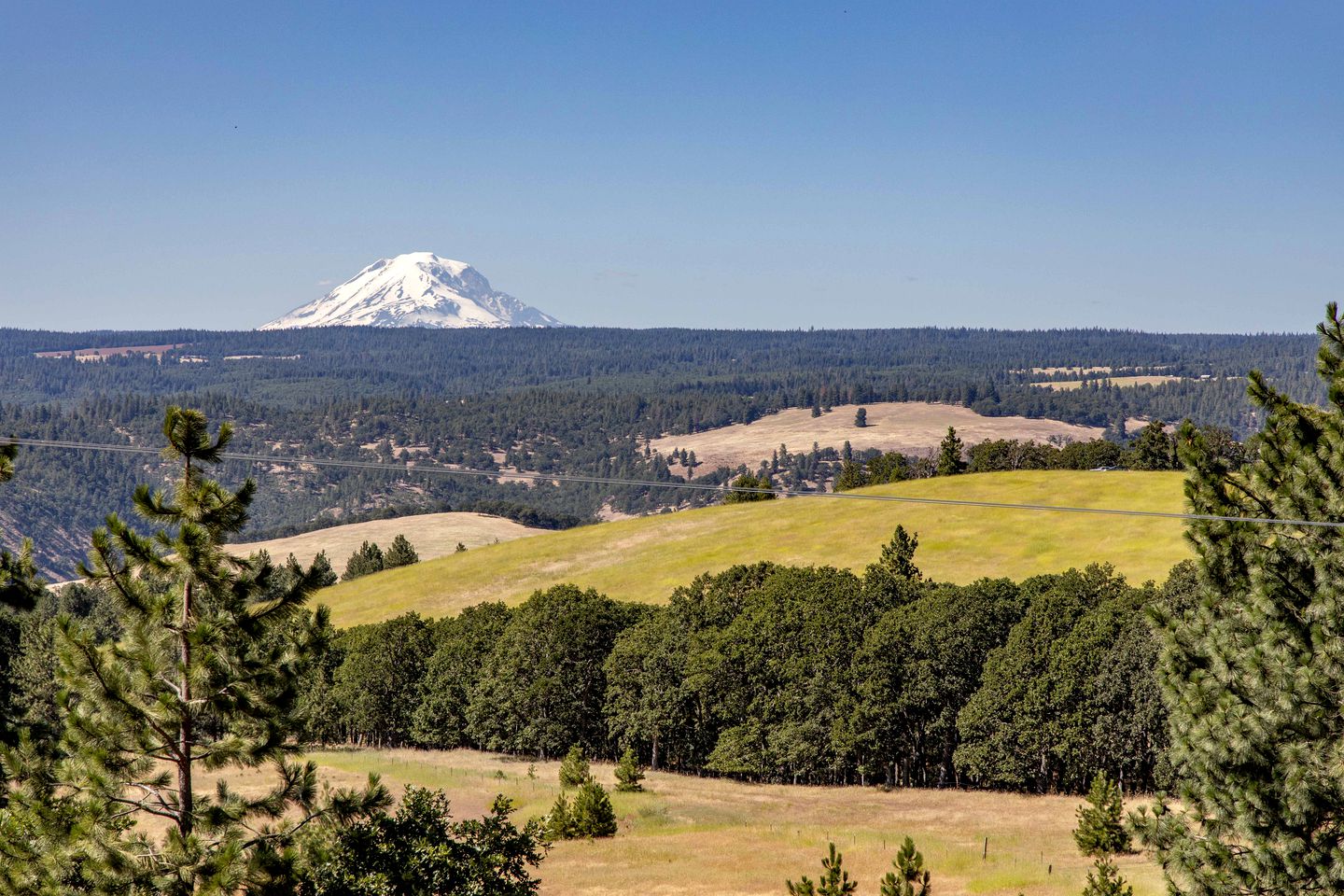 Stunning Cabin Retreat with Sauna, Book Library and Incredible Game Room in Lyle, Washington