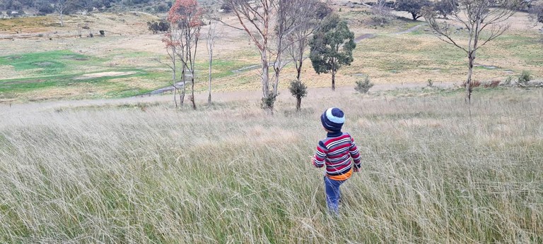 Tiny Houses (Australia, Bacchus Marsh, Victoria)