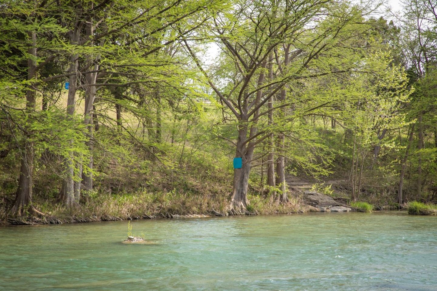 Fantastic Cottage with Barbecue in New Braunfels, Texas
