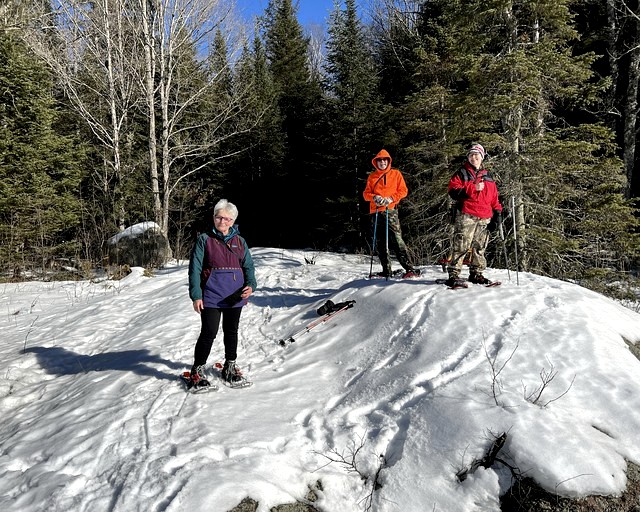 Group 1C Village Cabin 2 Has a Queen Bed and has A/C | Cabins (White Lake, Wisconsin, United States of America)