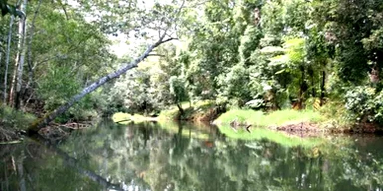 Romantic Getaway with Day Spa in Heart of the Atherton Tablelands, Queensland | Nature Lodges (Evelyn, Queensland, Australia)