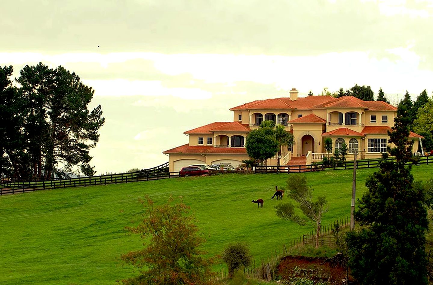 Family-Friendly Getaway near the Iconic Hobbiton on the North Island