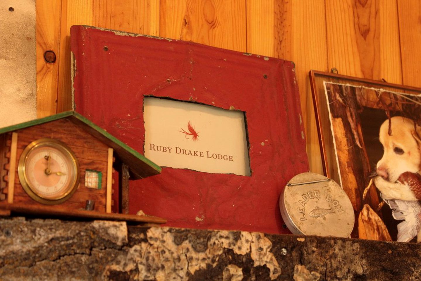 Rustic Camping Cabin on the Ruby River in Twin Bridges, Montana