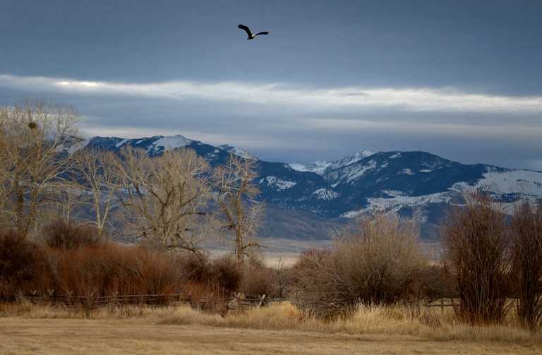 Cabins (Twin Bridges, Montana, United States)