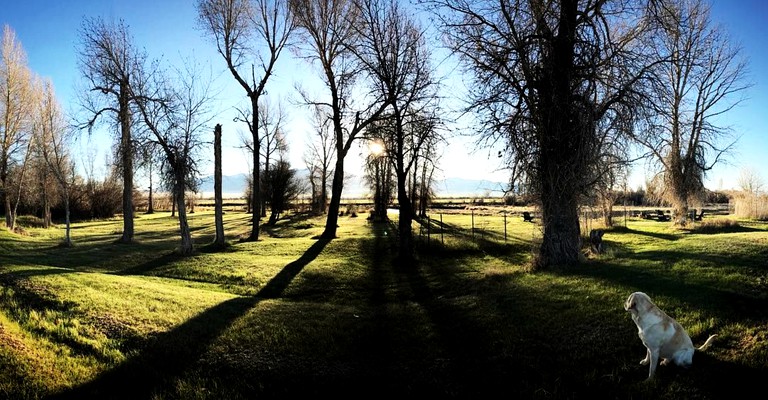 Cabins (Twin Bridges, Montana, United States)