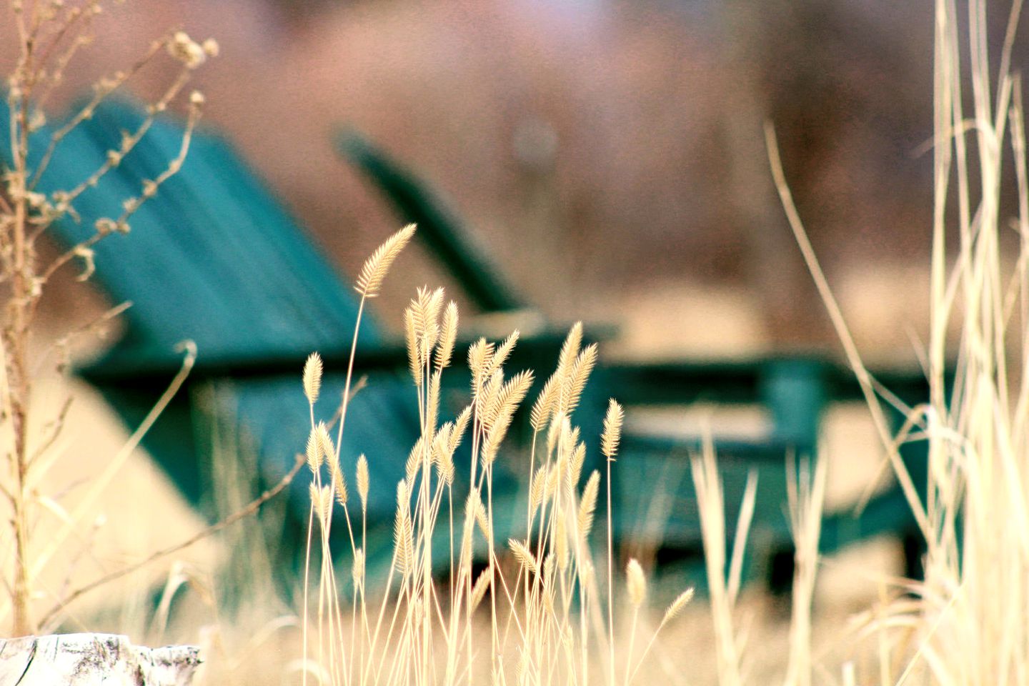 Riverside Cabin Rental near Beaverhead-Deerlodge National Forest in Twin Bridges, Montana