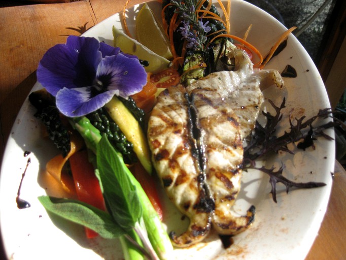 Safari Tents (Madeira Park, British Columbia, Canada)