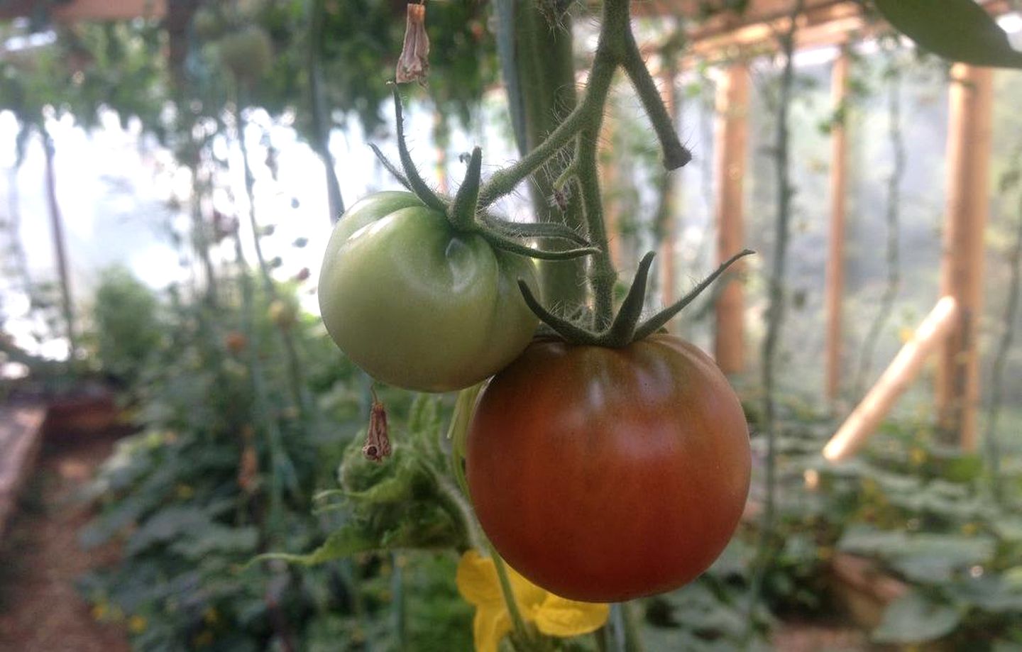 Family-Friendly Safari Tent at a Lake Resort near Savary Island, British Columbia