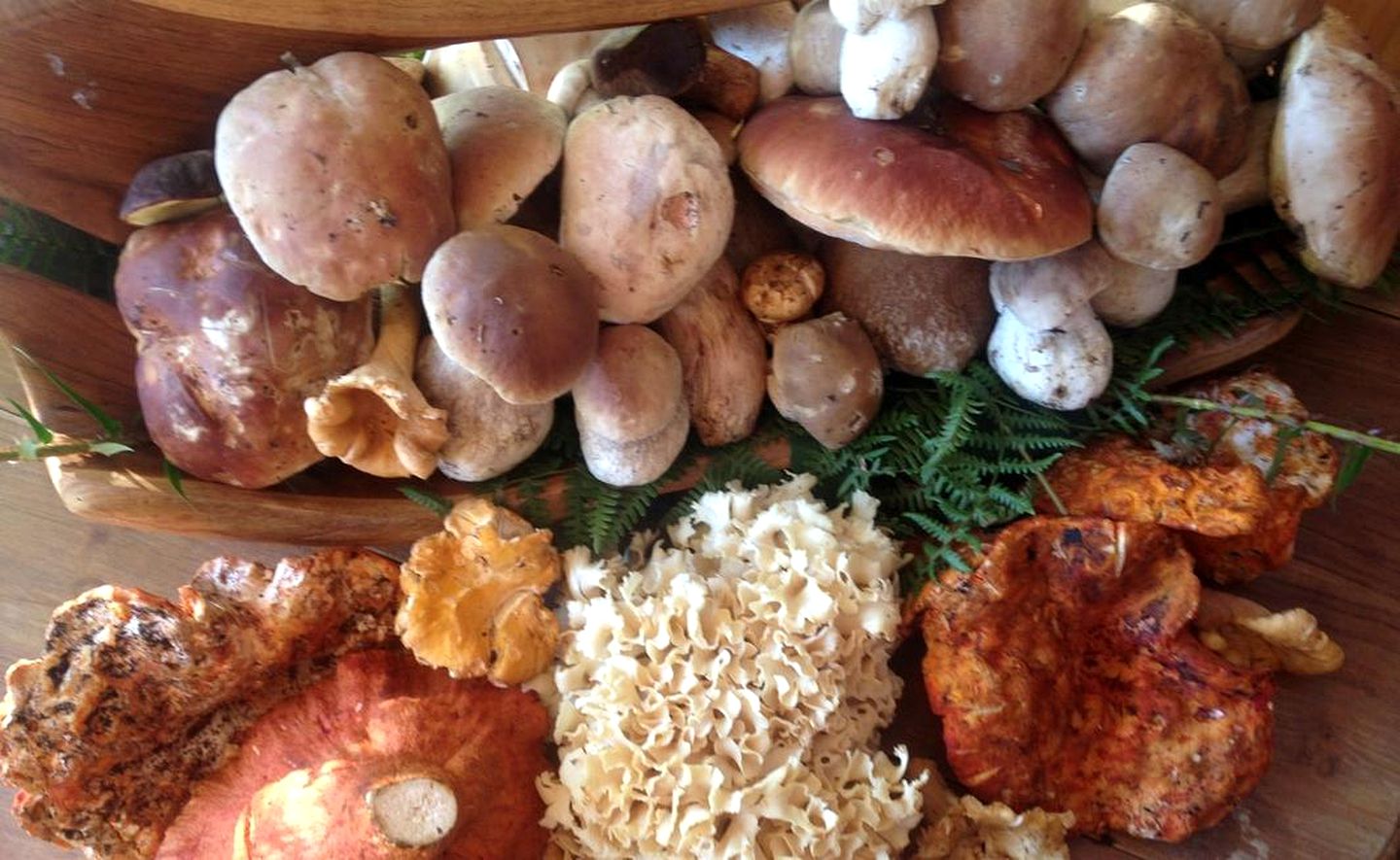 Cozy Safari Tent for a Family Getaway on Ruby Lake in British Columbia