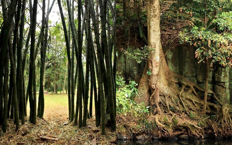 Pods (Balmoral Ridge, Queensland, Australia)