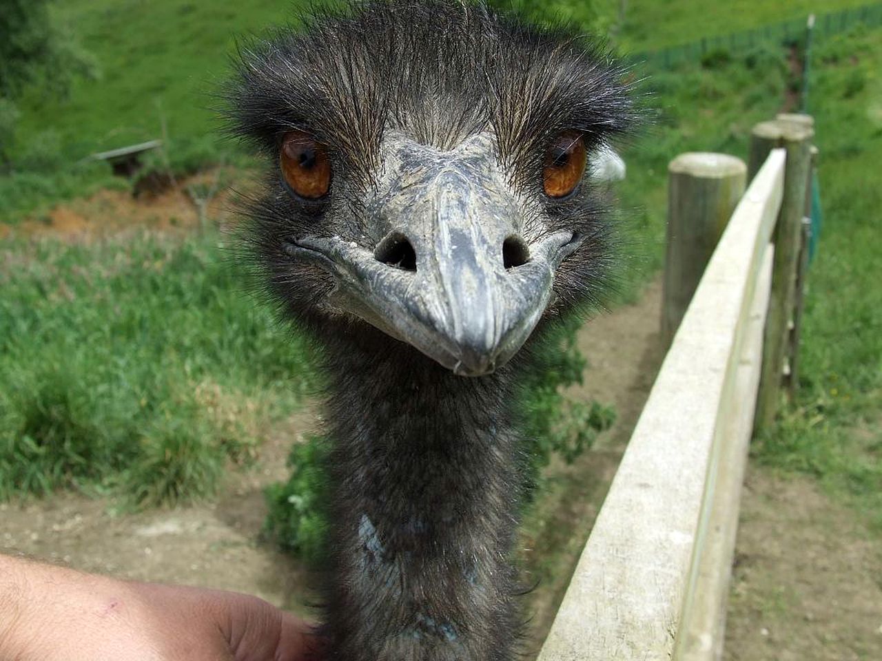 Bed and Breakfast overlooking a Stunning Valley near Auckland, North Island
