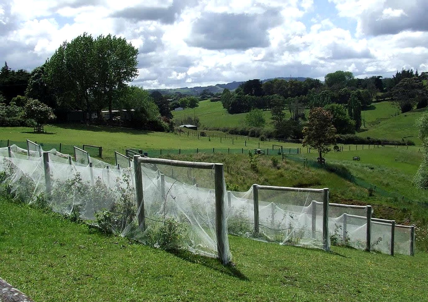 Bed and Breakfast overlooking a Stunning Valley near Auckland, North Island