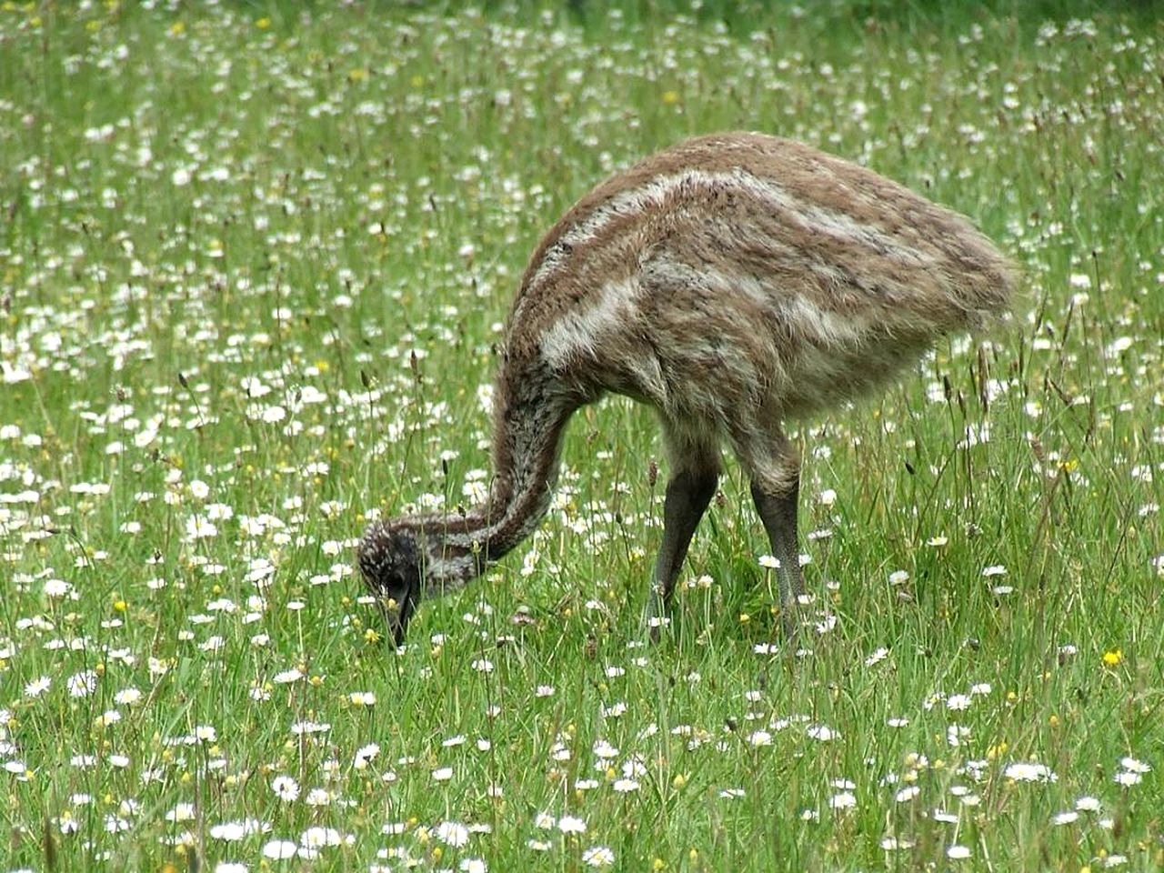 Bed and Breakfast overlooking a Stunning Valley near Auckland, North Island