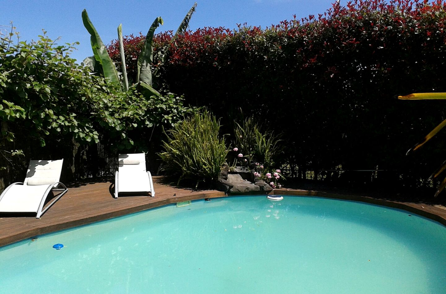 Lovely Rural Accommodation on a Berry Farm near Mt Huia on North Island