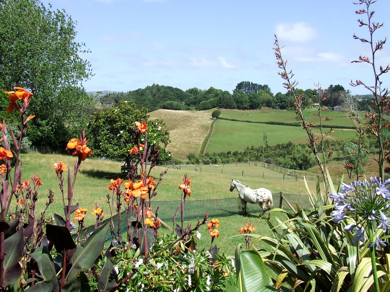 Lovely Rural Accommodation on a Berry Farm near Mt Huia on North Island