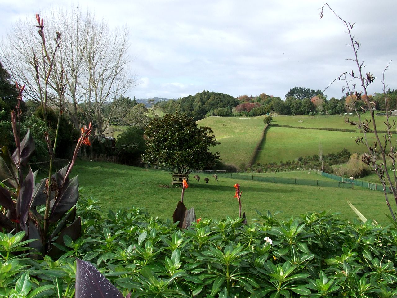 Lovely Rural Accommodation on a Berry Farm near Mt Huia on North Island