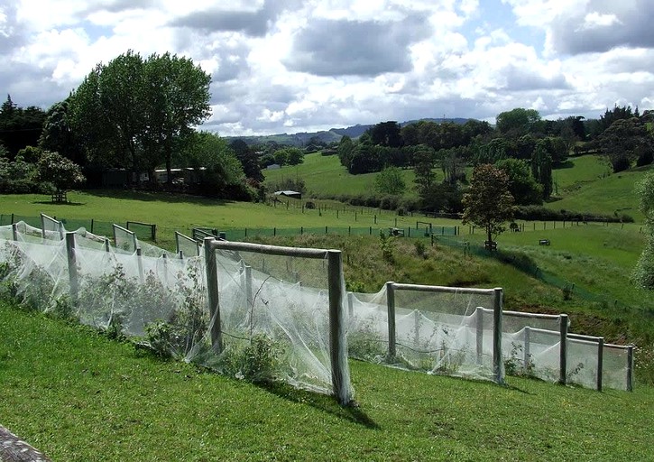 Nature Lodges (Ramarama, North Island, New Zealand)