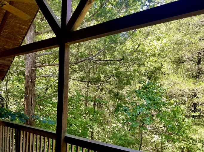 Cabins (United States of America, Eureka Springs, Arkansas)