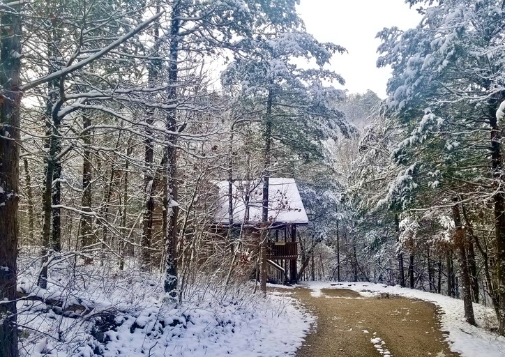 Cabins (United States of America, Eureka Springs, Arkansas)