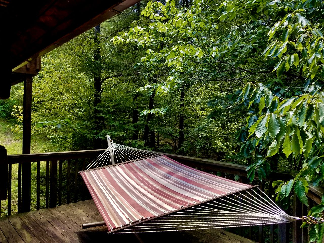 Rural Quaint Cabin with Large Private Deck and Hammock in Arkansas