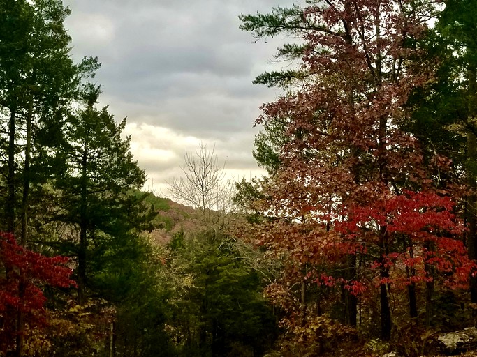 Cabins (United States of America, Eureka Springs, Arkansas)