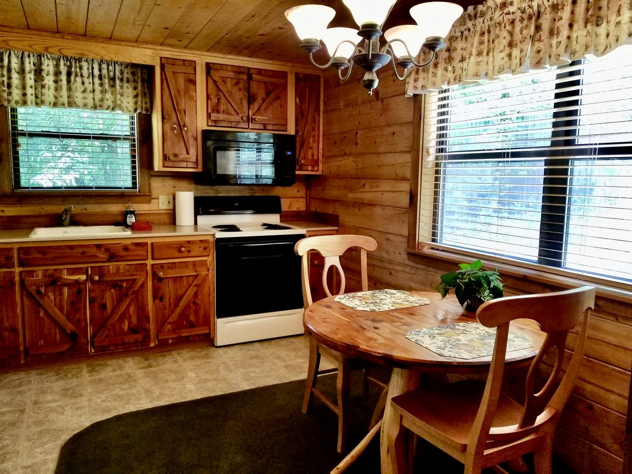 Rural Quaint Cabin with Large Private Deck and Hammock in Arkansas