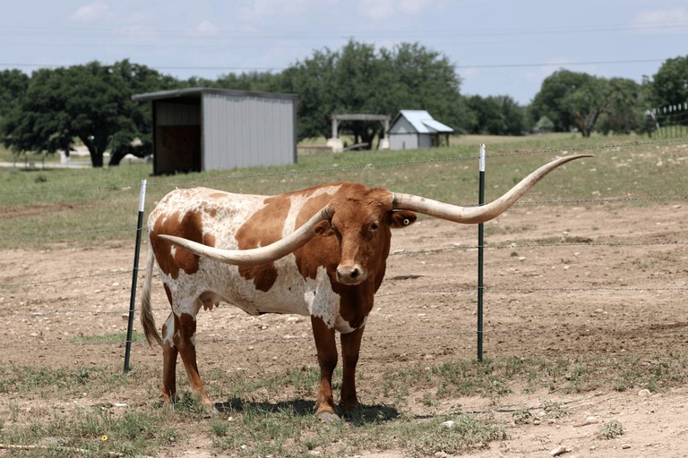 Cottages (United States of America, Granbury, Texas)