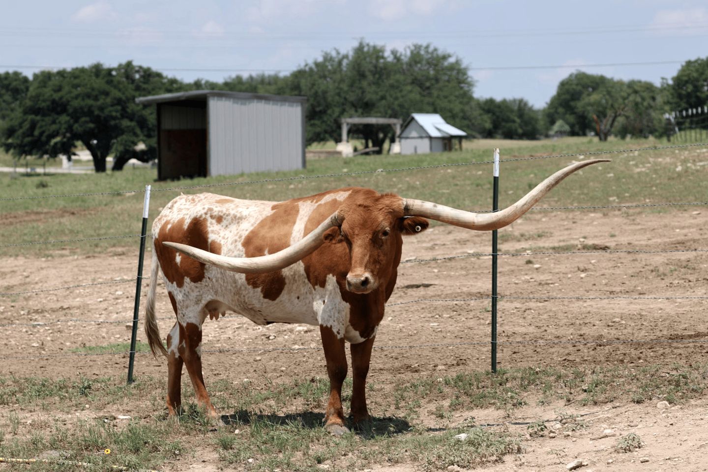 Rural Ranch Cottage Ideal for Groups or Family Reunions in Texas
